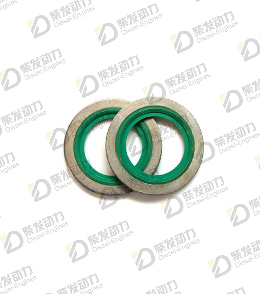 Sealing ring 20852765 